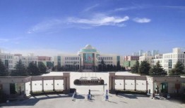 山东实事爆料最新消息新闻,重大事件引发社会关注